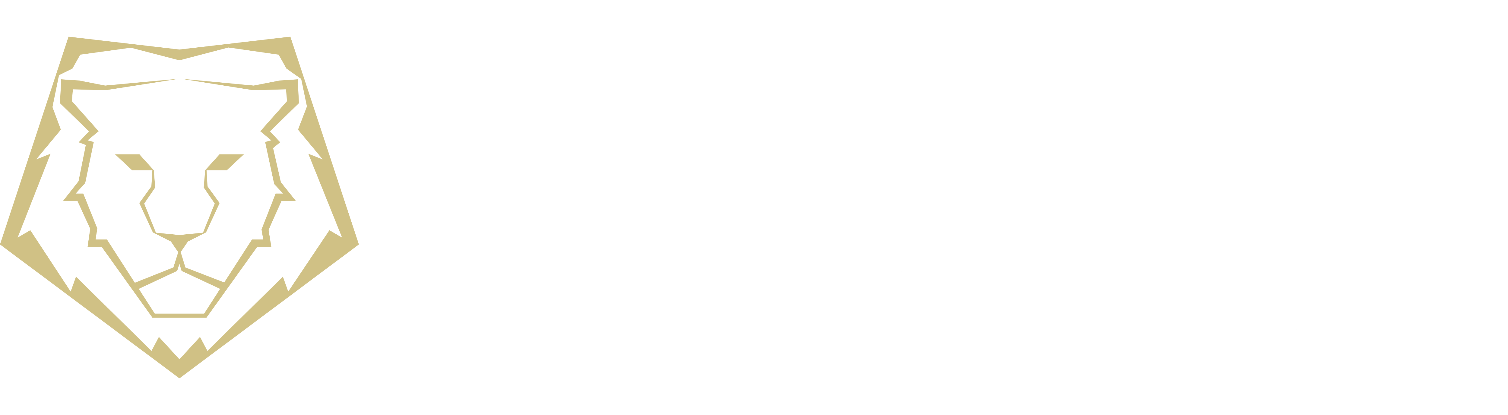 LION-SEC Sicherheitsdienst